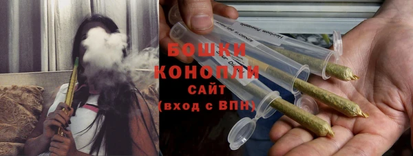 ПСИЛОЦИБИНОВЫЕ ГРИБЫ Алзамай