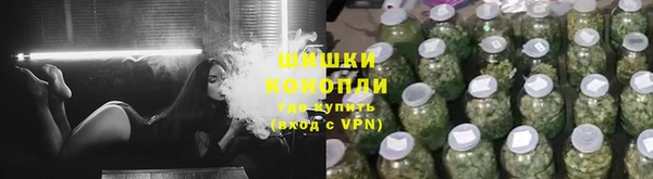 ПСИЛОЦИБИНОВЫЕ ГРИБЫ Алзамай