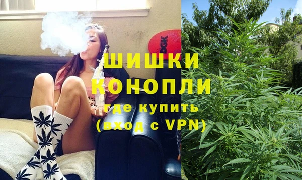 ПСИЛОЦИБИНОВЫЕ ГРИБЫ Алзамай